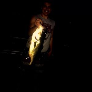 Meet your Posher, Gavin